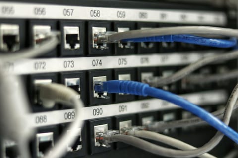 CAT network cables plugged into a patch panel